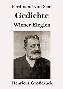 Gedichte / Wiener Elegien (Großdruck)