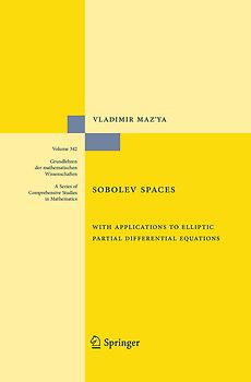 Sobolev Spaces