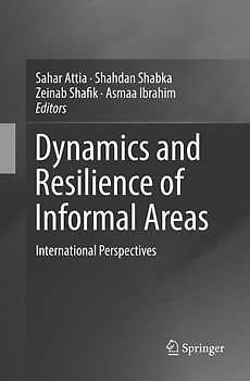Dynamics and Resilience of Informal Areas