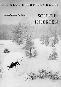 Schneeinsekten