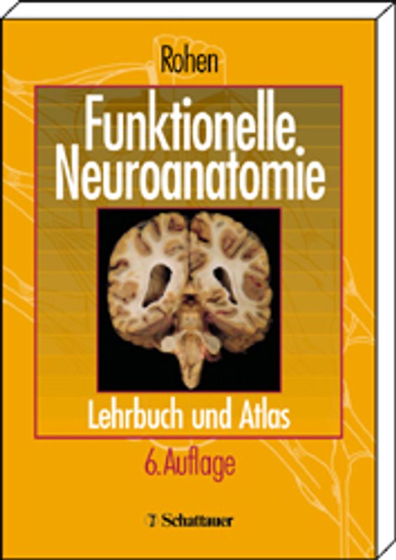 Funktionelle Neuroanatomie