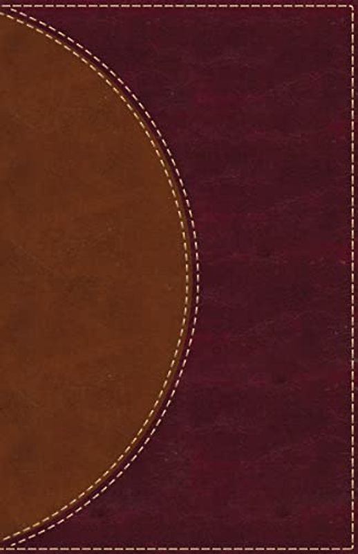 Amplified Reading Bible, Leathersoft, Brown, Thumb Indexed: A Paragraph-Style Amplified Bible for a Smoother Reading Experience