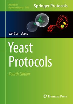 Yeast Protocols