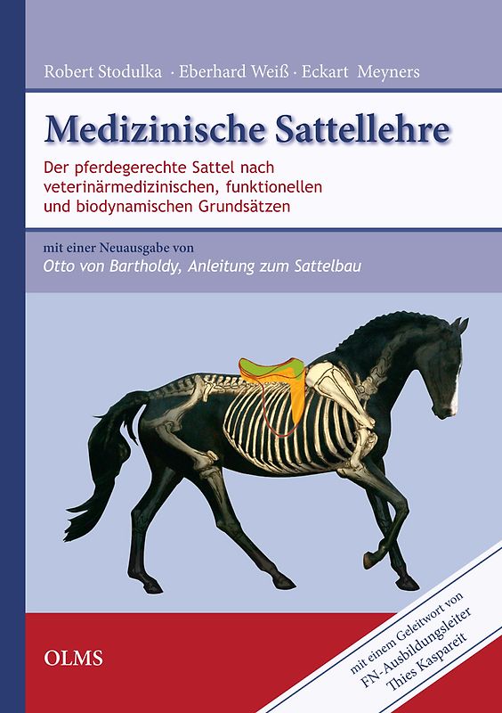 Medizinische Sattellehre