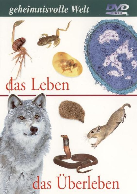 Geheimnisvolle Welt: Das Leben - Das Überleben DVD