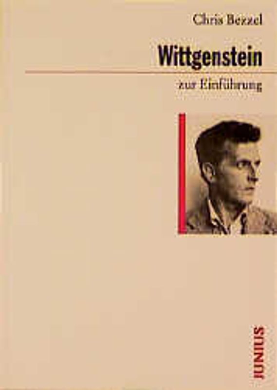 Wittgenstein zur Einführung