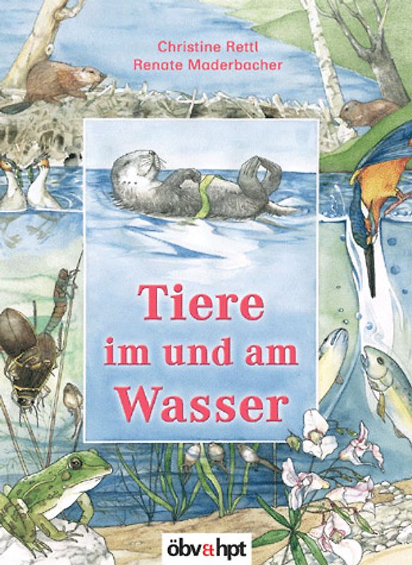 Tiere im und am Wasser
