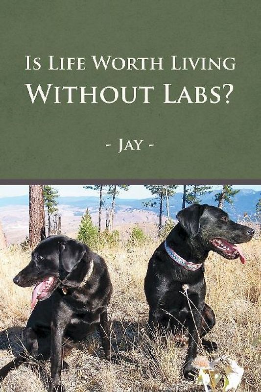 Is Life Worth Living Without Labs?