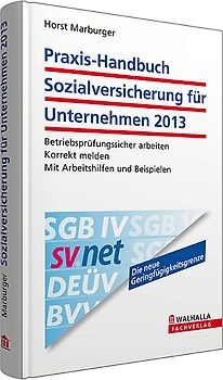 Praxis-Handbuch Sozialversicherung für Unternehmen 2013 inkl. E-Book