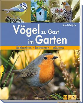 Vögel zu Gast im Garten