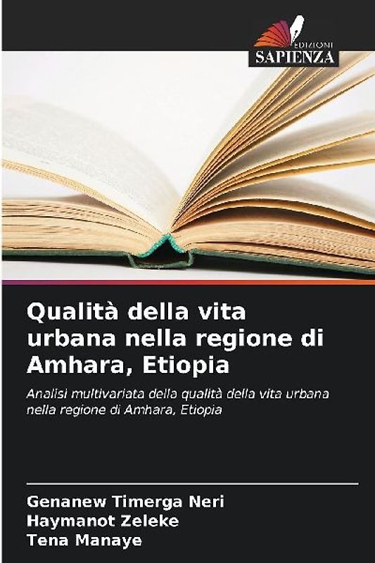 Qualità della vita urbana nella regione di Amhara, Etiopia