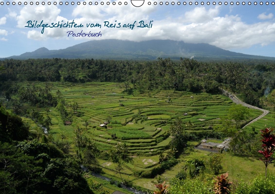 Bildgeschichten vom Reis auf Bali (PosterbuchDIN A4 quer)