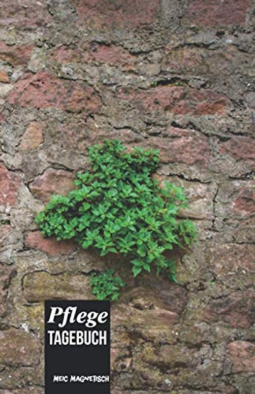 Pflege Tagebuch: Das Pflegetagebuch zum ausfüllen und Dokumentieren für die Pflegeplanung, Pflegestufen und Pflegegrad Ideal fpr den Nachweis über die Pflegebedüftigkeit und Pflegedokumentation