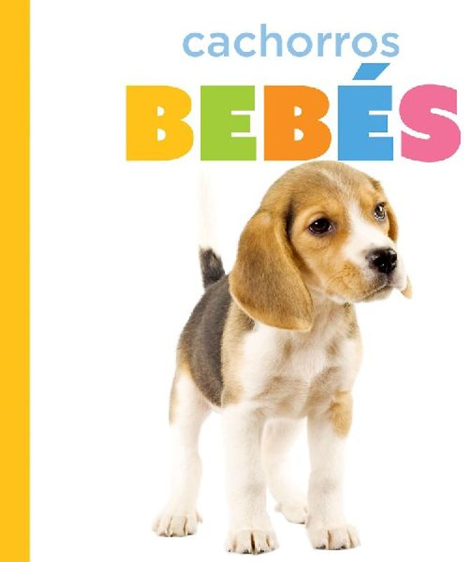 Cachorros Bebés