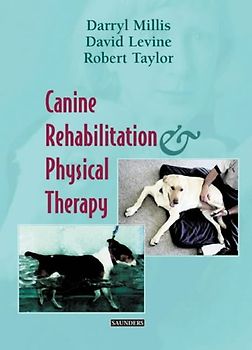 Canine Rehabilitation & Physical Therapy