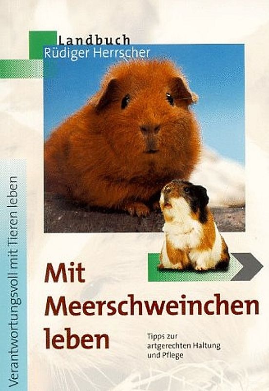 Mit Meerschweinchen leben