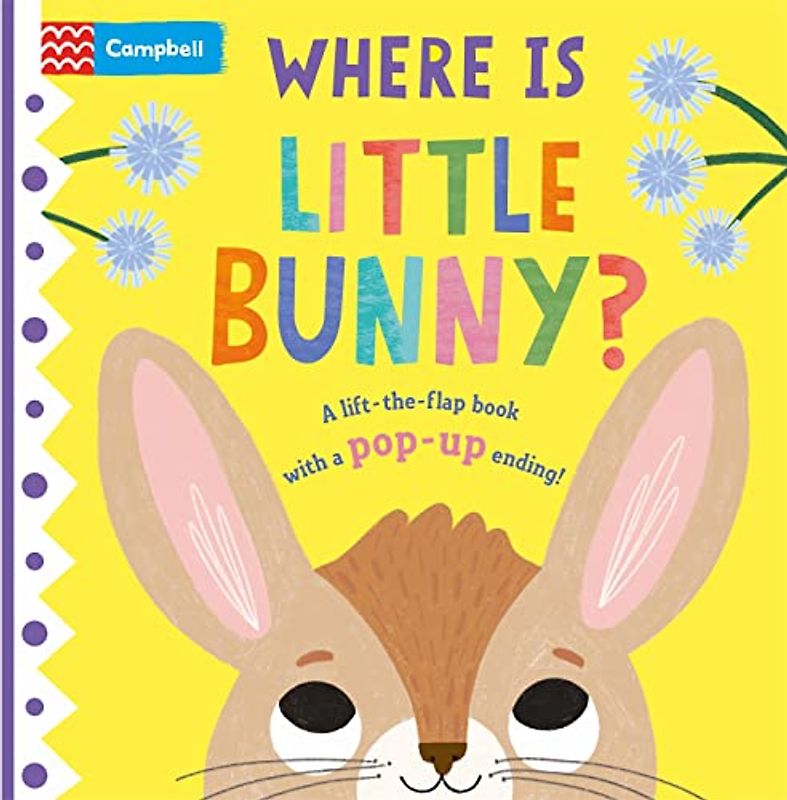 Where is Little Bunny?: The lift-the-flap book with a pop-up ending!