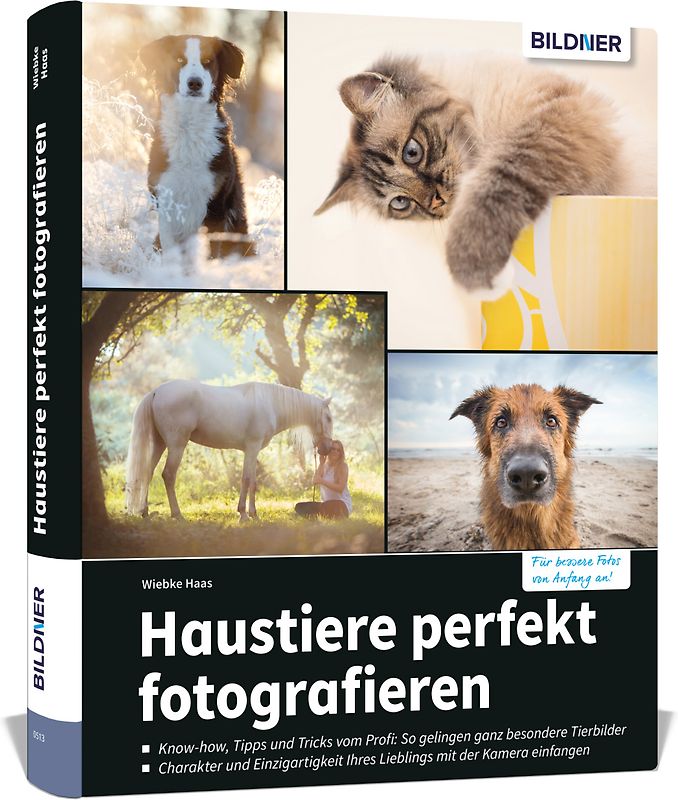 Haustiere perfekt fotografieren