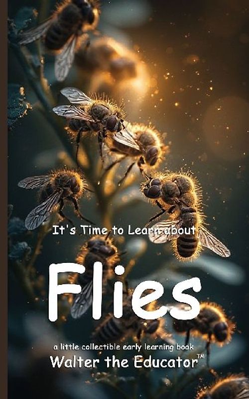 It's Time to Learn about Flies