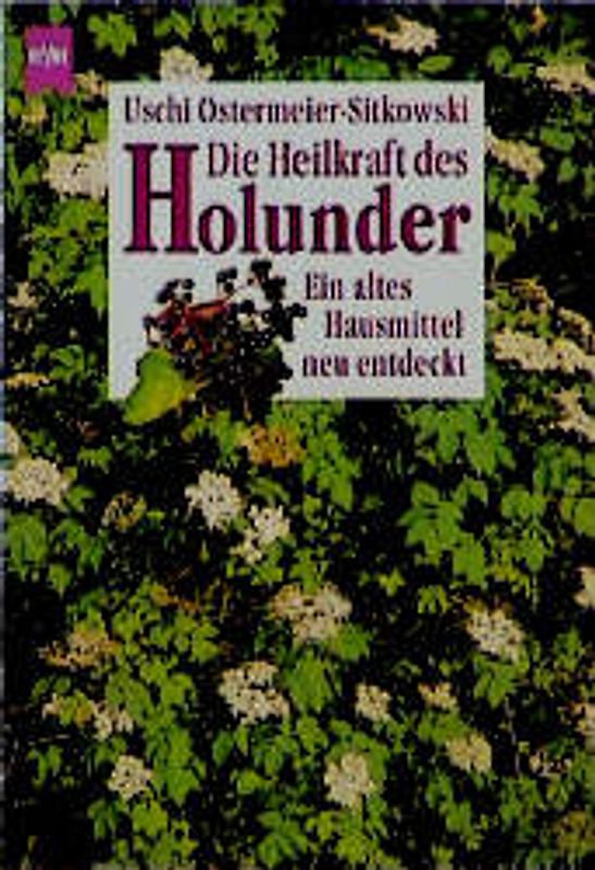 Die Heilkraft des Holunder. Ein altes Hausmittel neu entdeckt