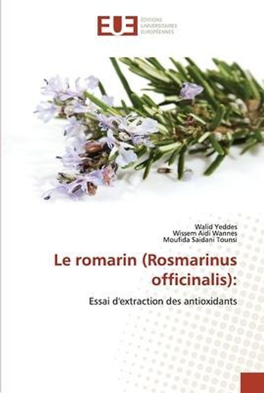 Le romarin (Rosmarinus officinalis):