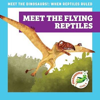 Meet the Flying Reptiles