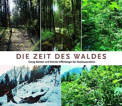 Die Zeit des Waldes