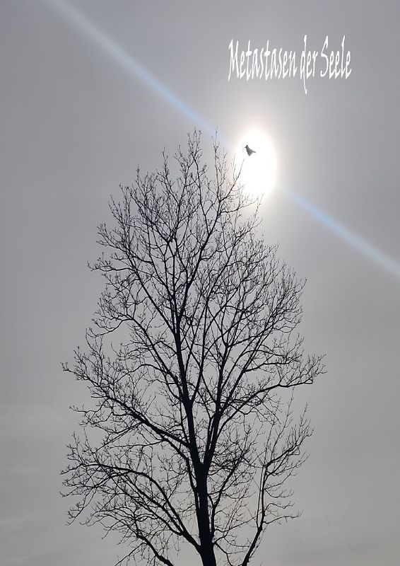 Metastasen der Seele / 2023