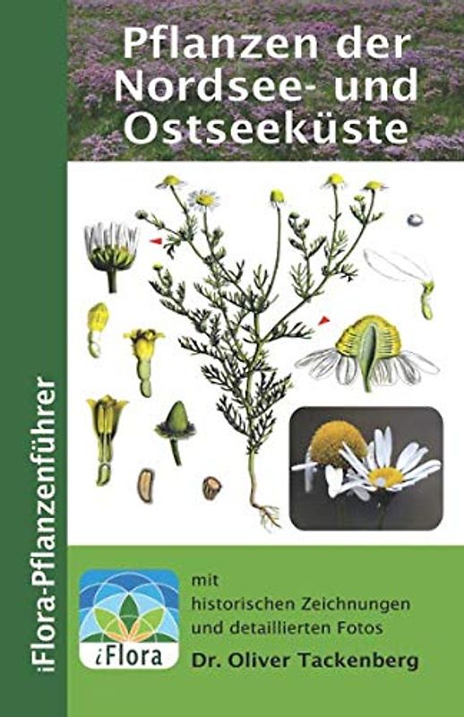Pflanzen der Nordsee- und Ostseeküste (iFlora Pflanzenführer, Band 5)