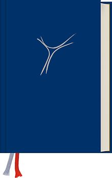 Gotteslob. Katholisches Gebet- und Gesangbuch. Ausgabe für die Diözese Regensburg