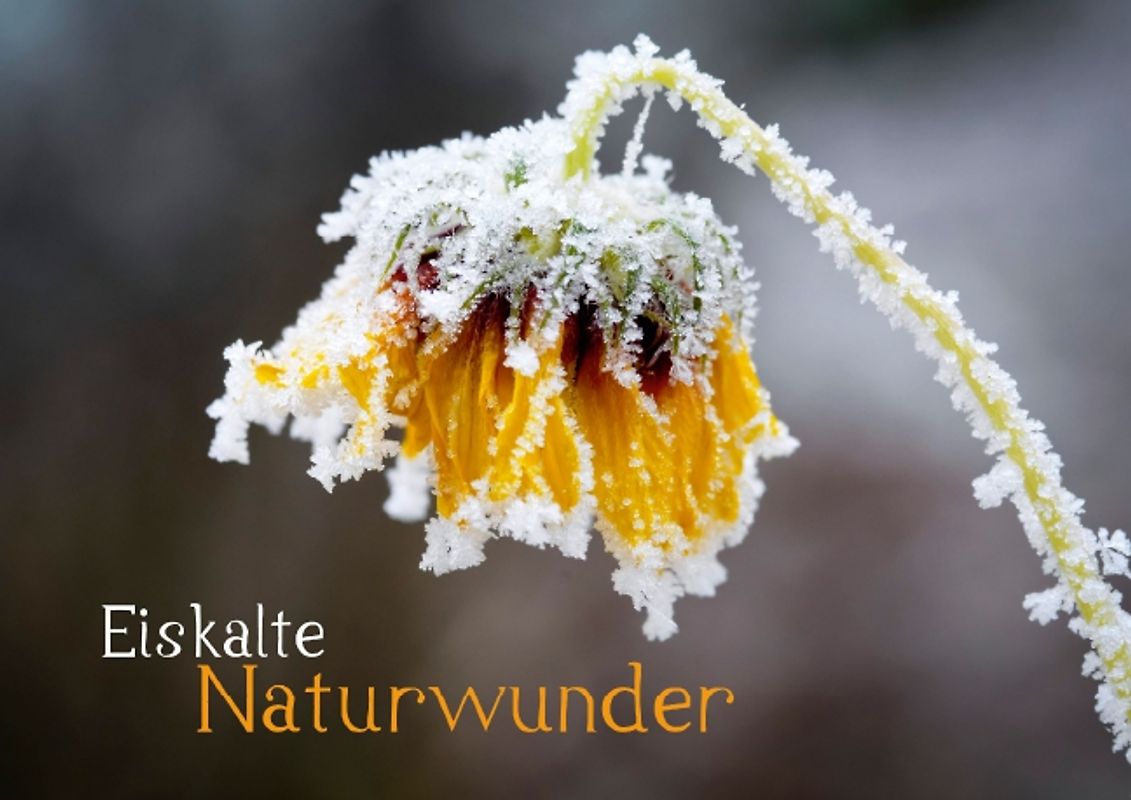 Eiskalte Naturwunder (Posterbuch DIN A3 quer)