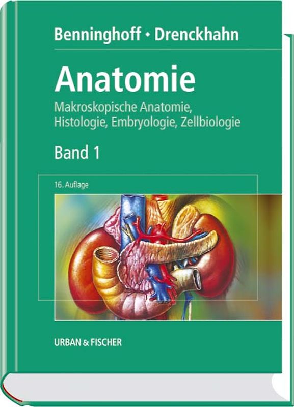 Anatomie