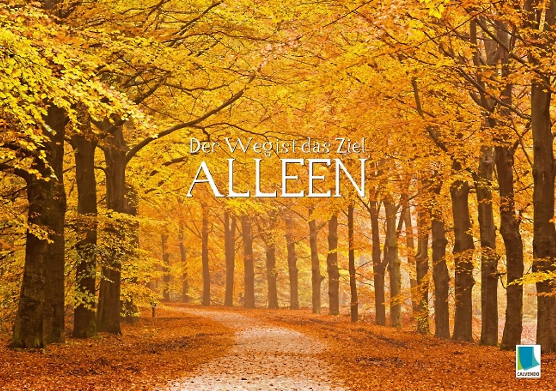 Der Weg ist das Ziel – Alleen (Tischaufsteller DIN A5 quer)