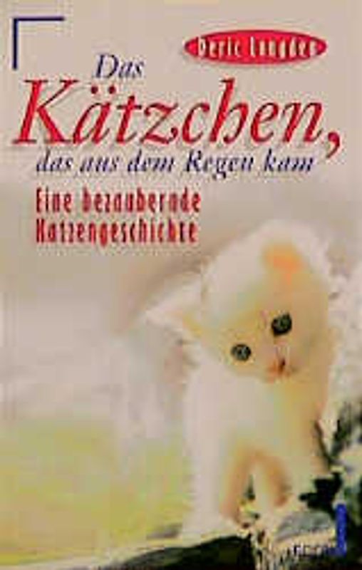 Das Kätzchen, das aus dem Regen kam. Eine bezaubernde Katzengeschichte mit Katzenillustration
