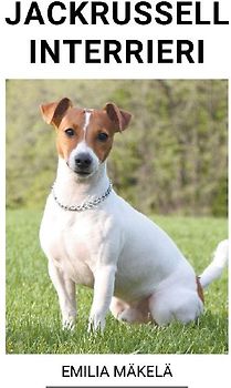 Jackrussellinterrieri