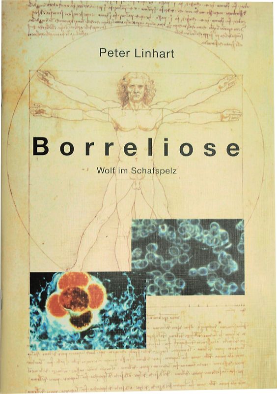 Borreliose Wolf im Schafspelz