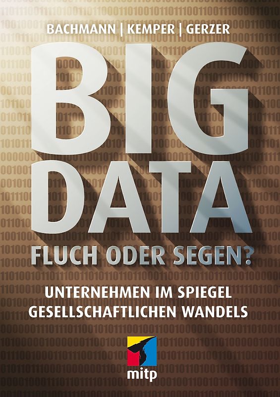 Big Data - Fluch oder Segen?. Unternehmen im Spiegel gesellschaftlichen Wandels