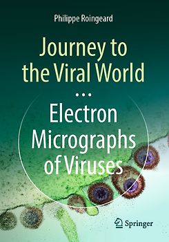 Journey to the Viral World: Electron Micrographs of Viruses