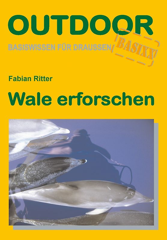 Wale erforschen