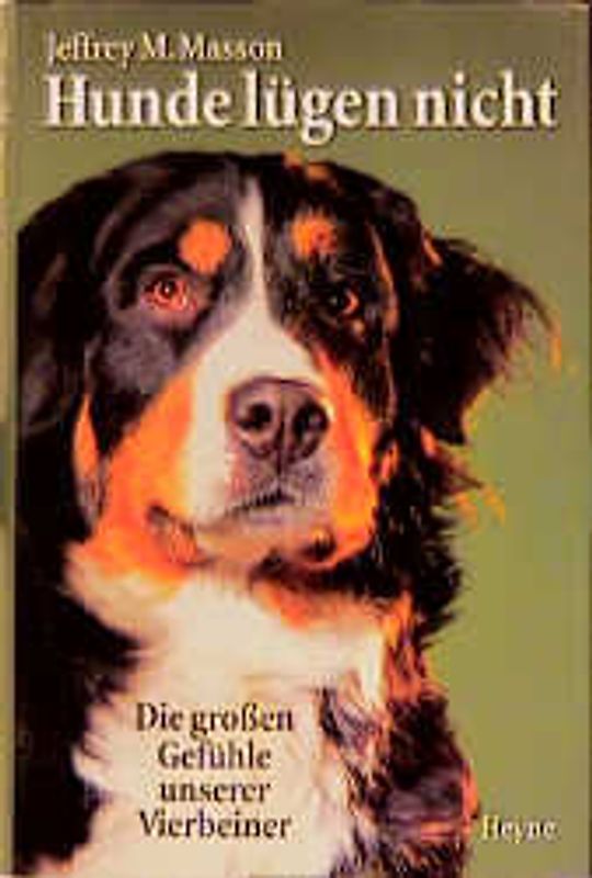 Hunde lügen nicht. Die grossen Gefühle unserer Vierbeiner