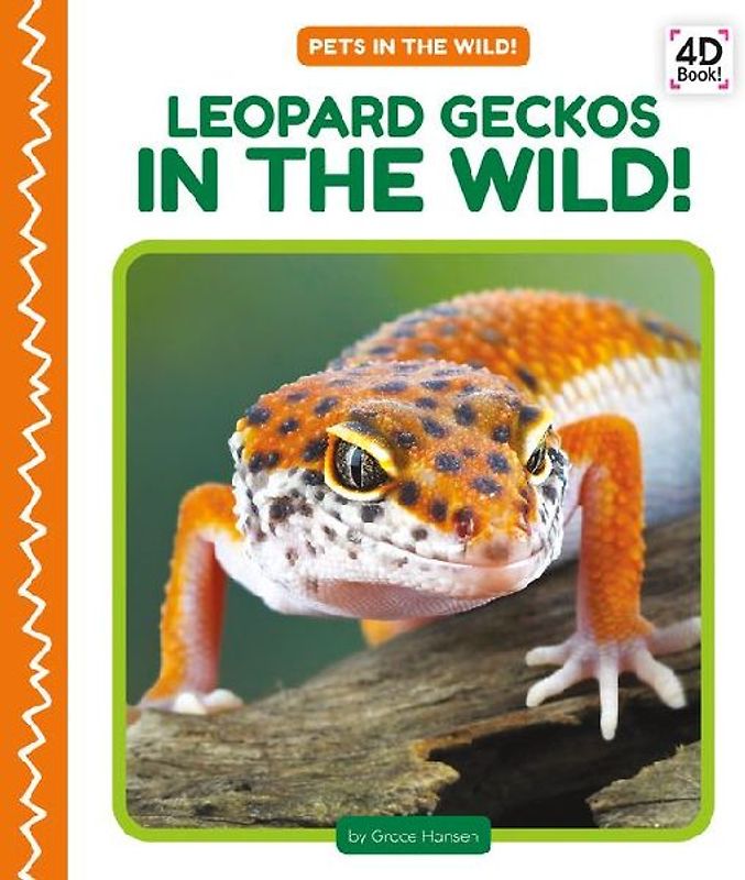 Leopard Geckos in the Wild!