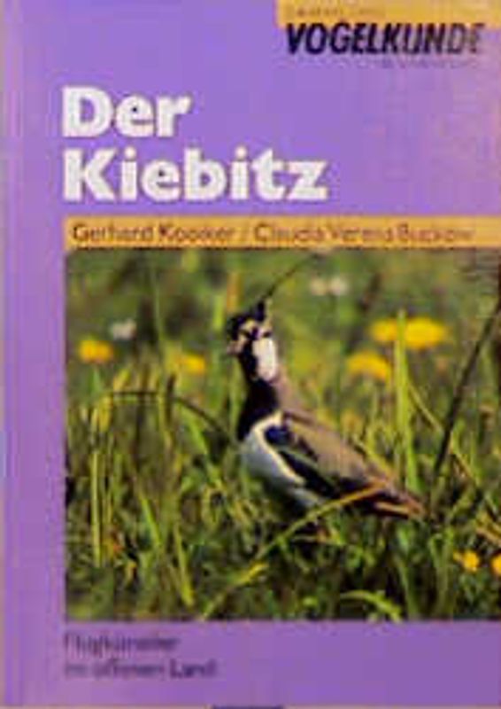 Der Kiebitz