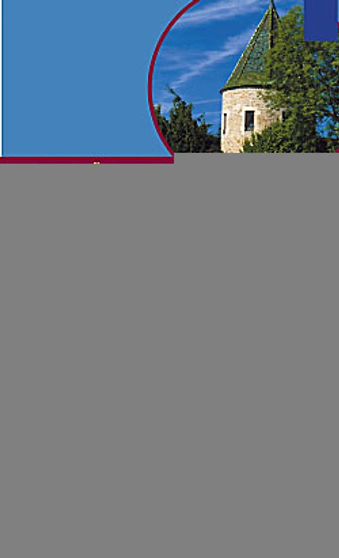 Wie junge Liebe alte Wunden heilt. Rapunzel