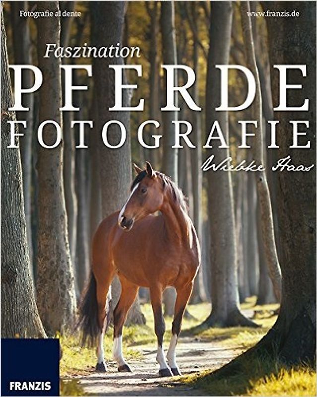 Faszination Pferdefotografie