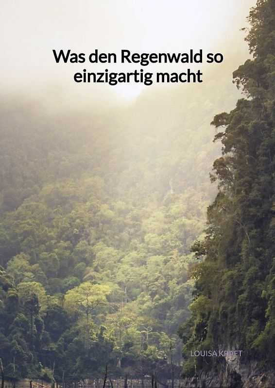 Was den Regenwald so einzigartig macht