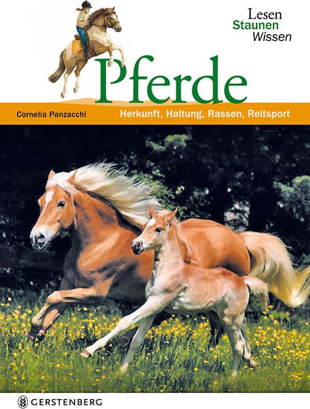 Pferde