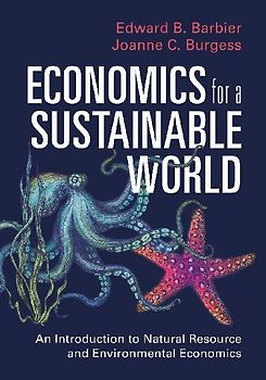 Economics for a Sustainable World