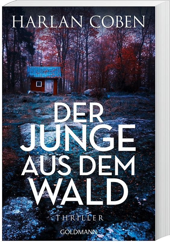 Der Junge aus dem Wald