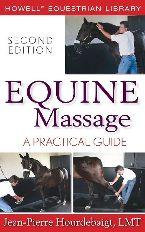 Equine Massage