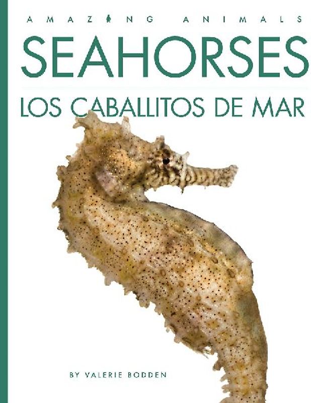 Seahorses / Los Caballitos de Mar